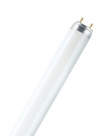 Tube Fluorescent - Osram LUMILUX T8 - 18 Watts - G13 - 6500K